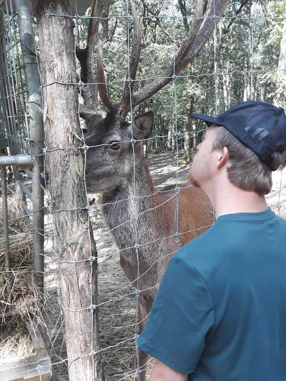 When Nicolas meets an elk